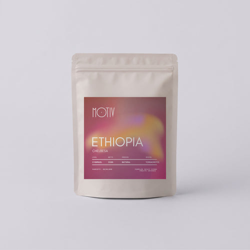 Bag of MOTIV Ethiopia Chelbesa specialty coffee, Yirgacheffe natural process